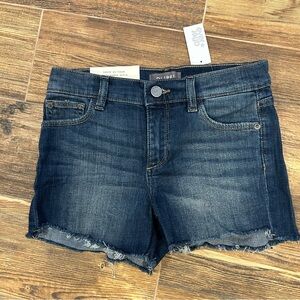 DL1961 Juniors Denim Shorts